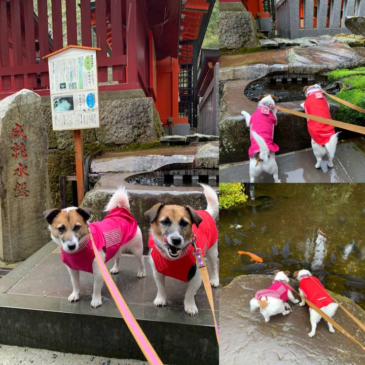 6157500d 09bd 4942 9549 455adf655074 1647693500939