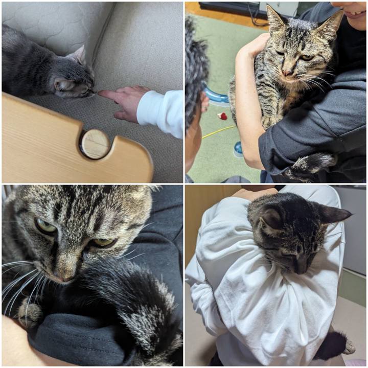 61575394 8953 4bb0 9a04 3aff8f9d4a42 1715424756370