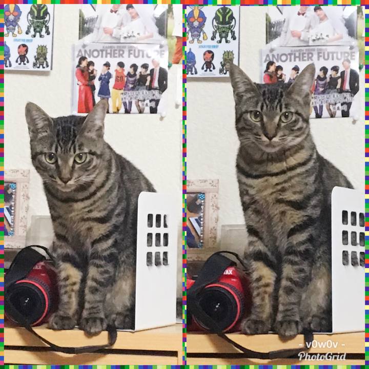 61578747 c3be 40c2 9a3d c0c3d42ac453 1545451833763