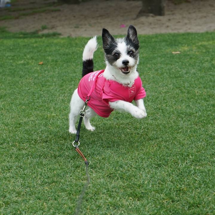 6157b20a 534f 492f 897b 6bc84e334fcf 1681902980819