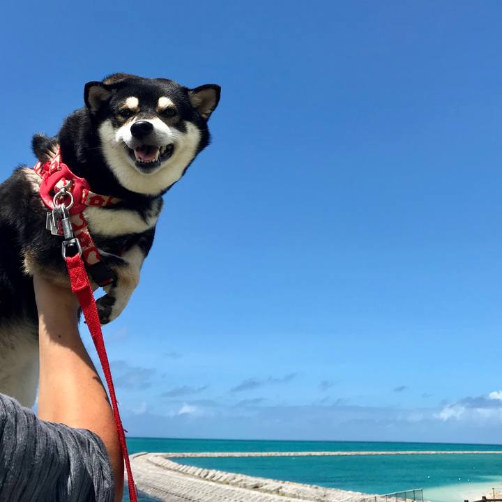 6157dd2e d346 48e5 9fb4 bb6feb5e8441 1531792562660