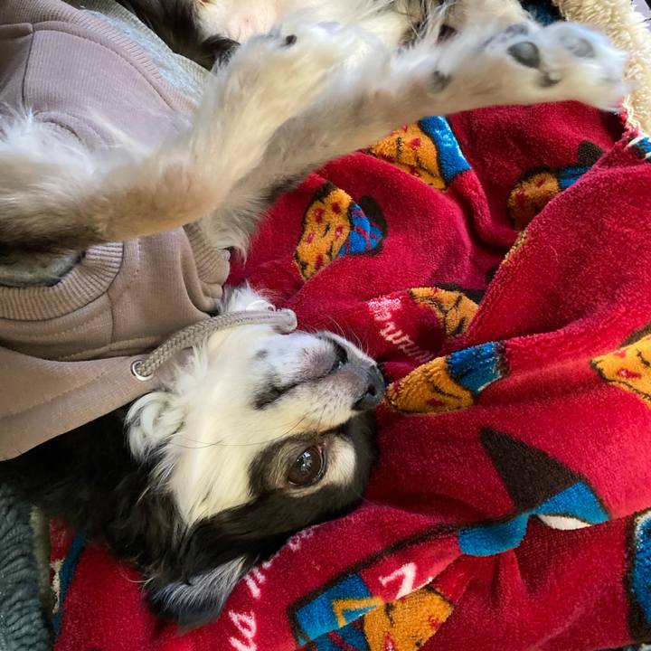 615808d8 2042 4bd5 936b ca985cf2534e 1674919345974