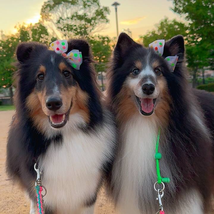 61587553 2eb3 44d0 8003 4490da826a07 1750964923090