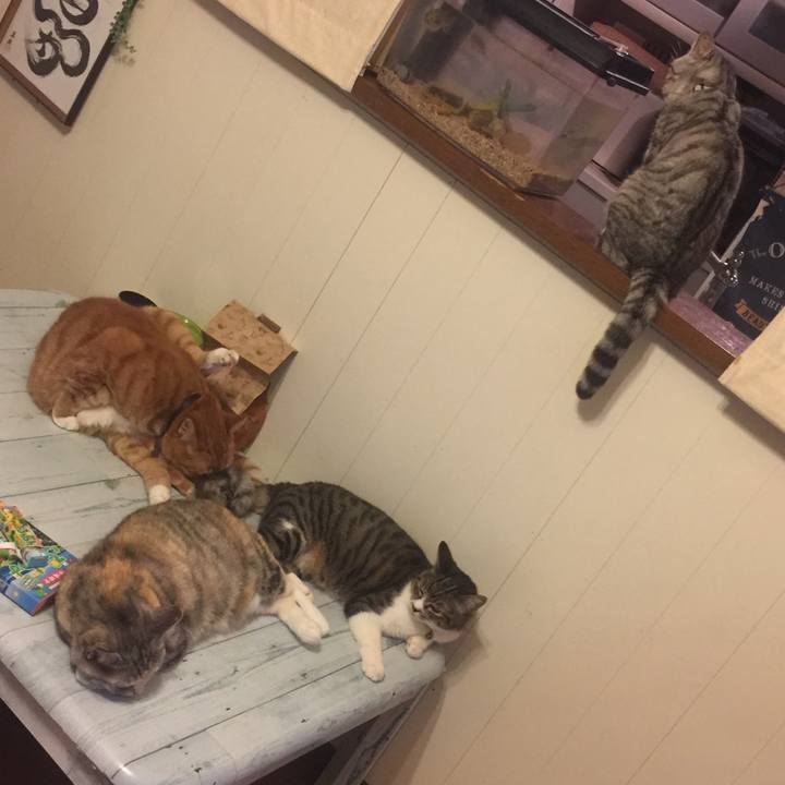 615877c3 cf6a 422b 998e afdc6fc88363 1563982579901