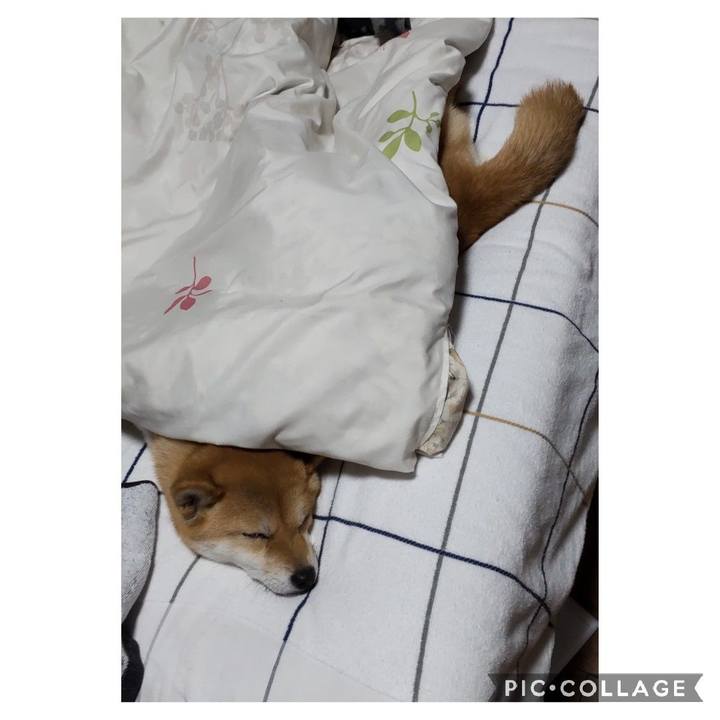 6158bbd2 5141 4281 b9ab a87ae13f7fe7 1670201290743