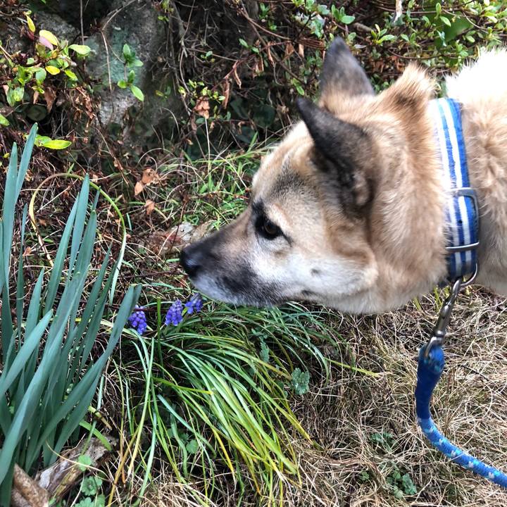 6158fe7c 143f 4857 b59b 6d6480f50946 1583582794595