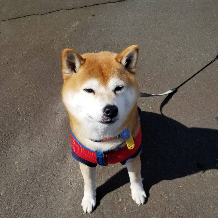 6159058c 382f 48e5 9222 ec846747de5d 1552104417533