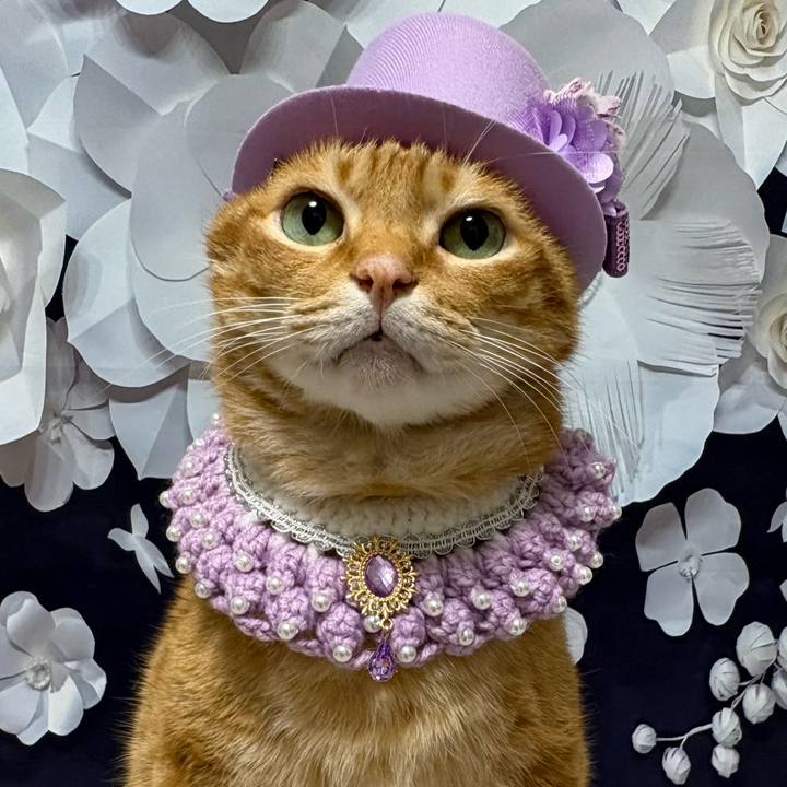 61590653 f9a1 40a2 9f32 c90d4ae145cd 1763101879110