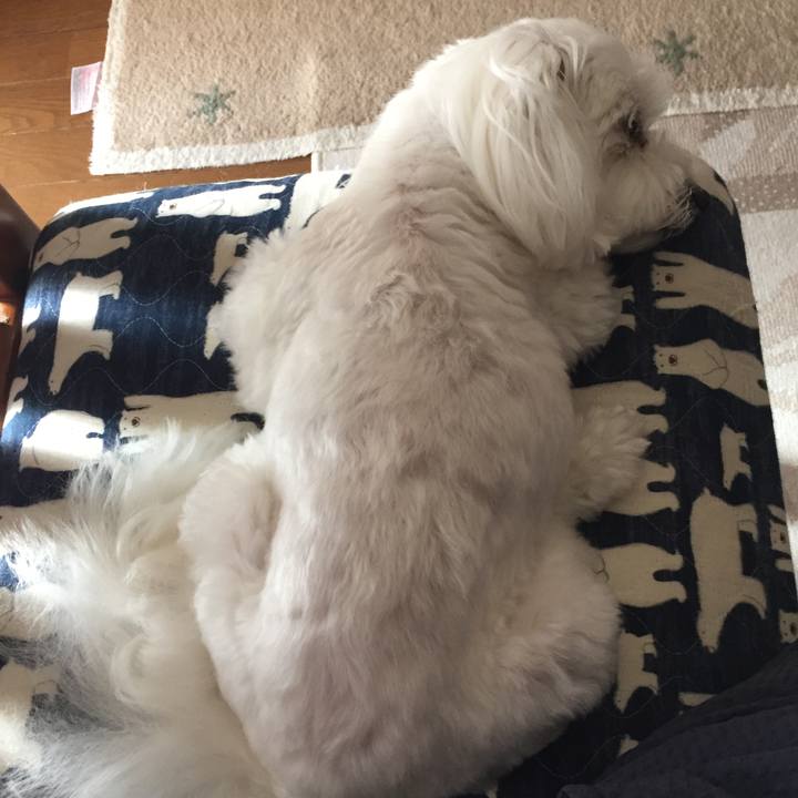 61594ee9 0640 4146 8988 723973db0b70 1535241271033