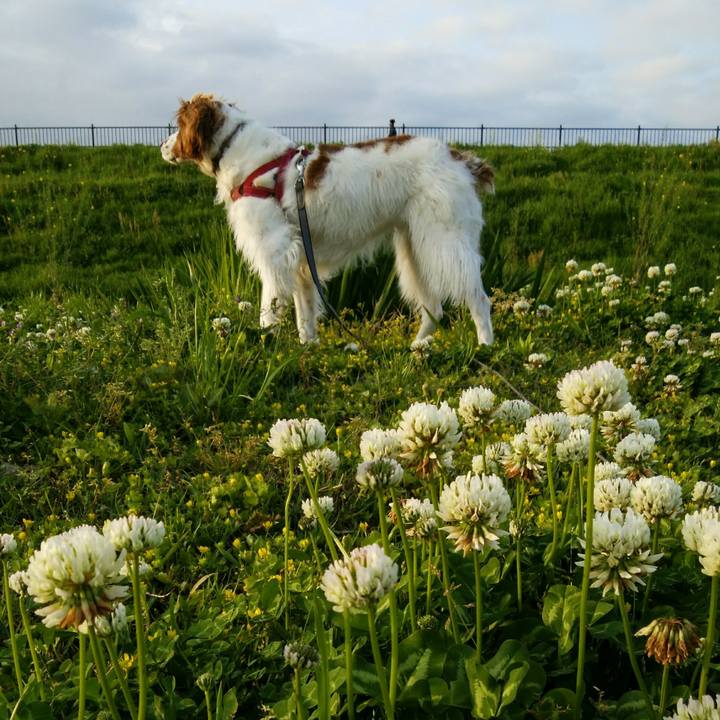 615950fc cc8f 461b b8c0 d2f84d69b50f 1556193628954