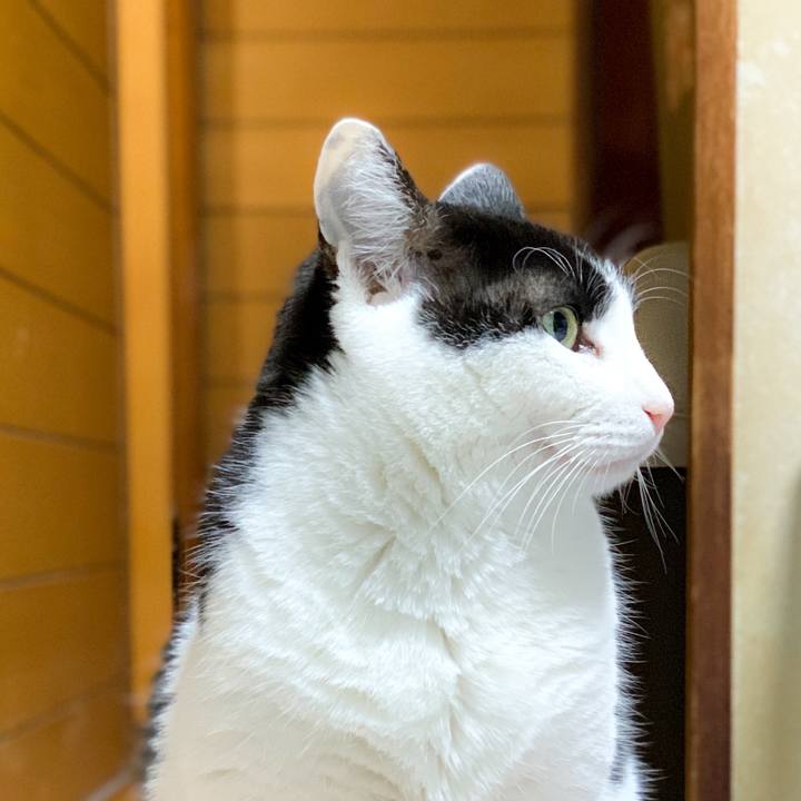 61599904 c59a 42a4 a5f1 ec7ffefeede1 1590803836420