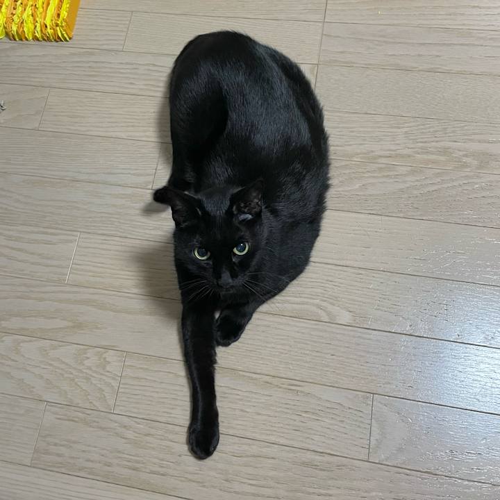 6159a790 9c5e 4fb8 b39a 961a975f3bea 1731059844202