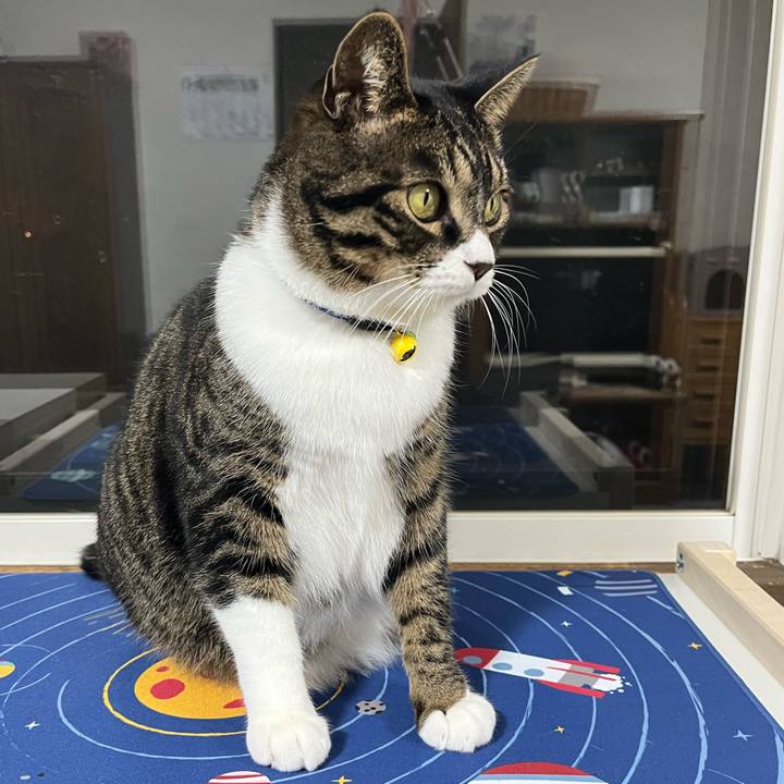 6159afaf 9289 4d7d b619 8461a0a7241c 1761956529064