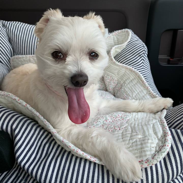 6159ef9d a4d0 4cf6 8b4e 61140503d6c0 1614943131460