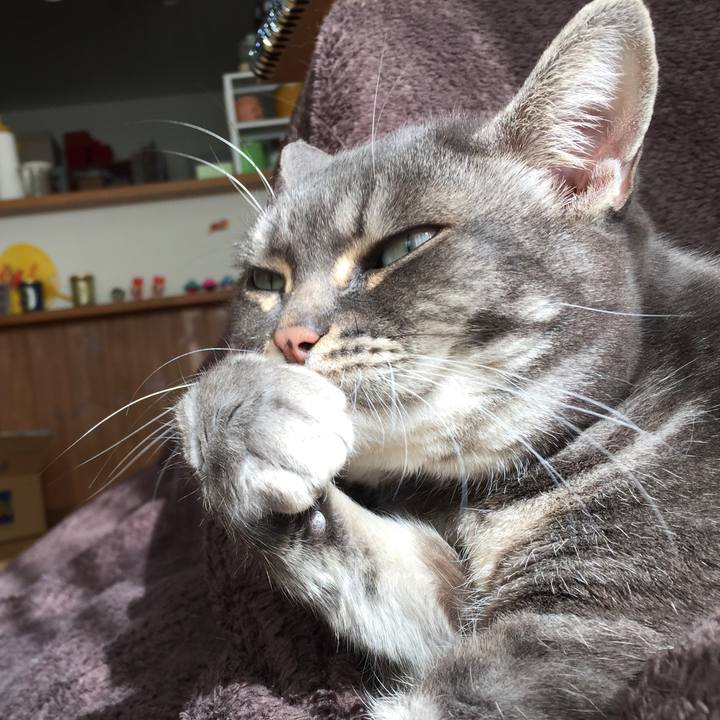 615a1149 6dde 49a2 98b6 be56791eaa43 1517052134545