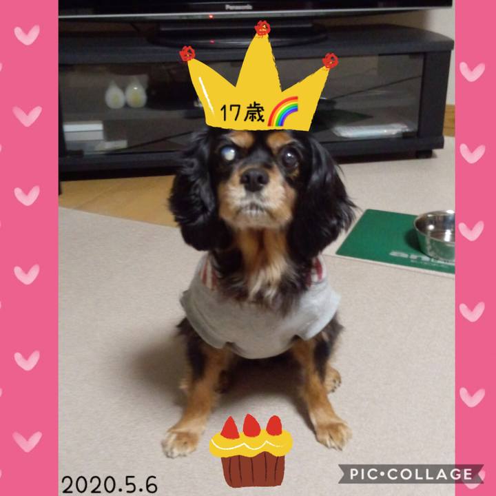 615a3be1 4f35 4e8d b184 37af2f1a812f 1588752172003