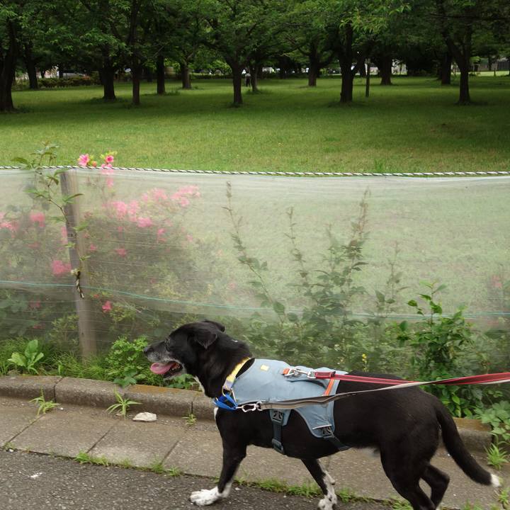 615a4960 f77d 429e 80e5 e07a8a3334c1 1747875474516