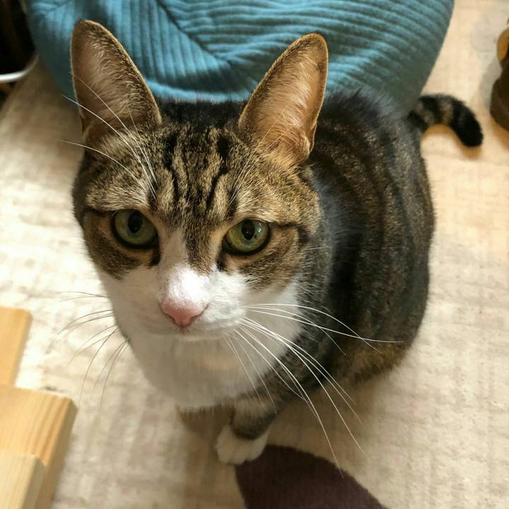 615a9a64 022c 4311 a29b fb0f3fa4a5fb 1608772577145