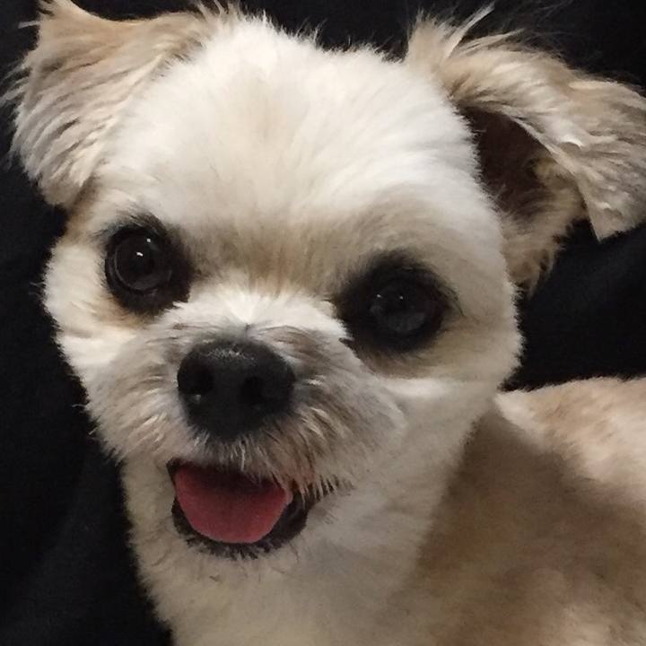 615a9ddb f170 4c9e 8c87 57b14149514c 1561986328874