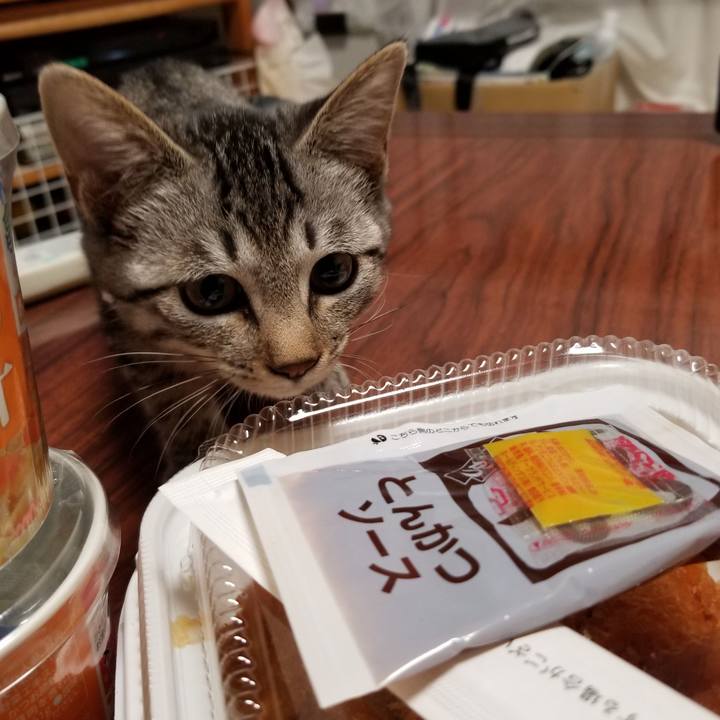 615af1c4 d721 4bd8 a898 ccbff9f52b0f 1666695050605