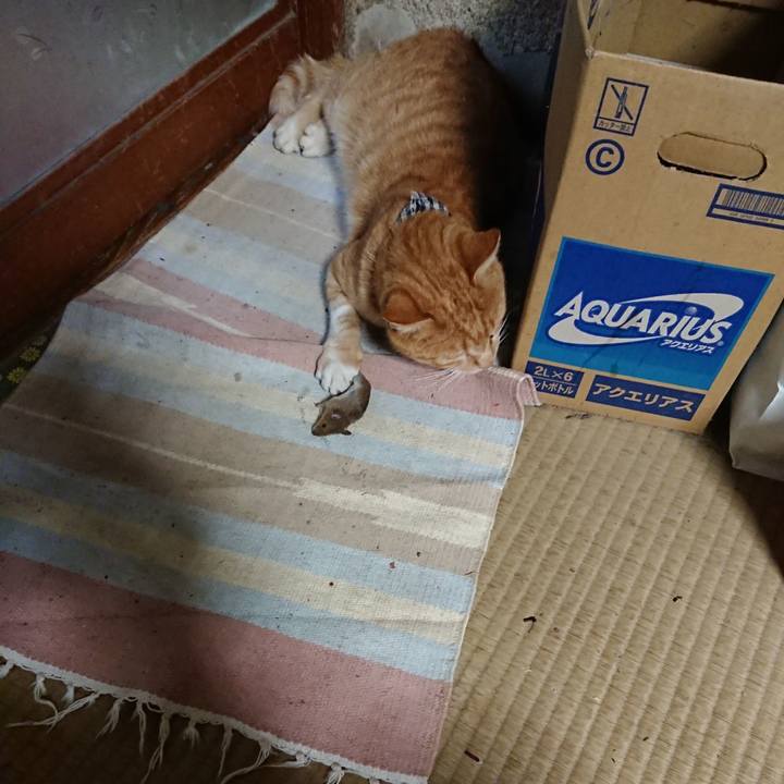 615af6c3 e0bb 4f27 92ec 8a9d2d32a4f1 1571921658463