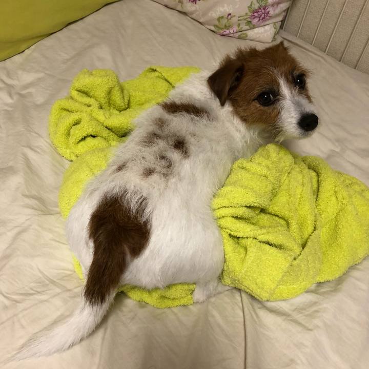 615afd67 cbe8 40a4 8948 40c7d0d66a4b 1538056262137