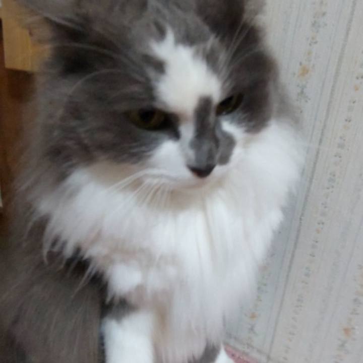 615b11a3 437c 4c65 9612 0b77060c0f8b 1650279348220