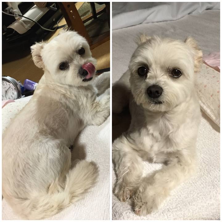 615b328c 7bbf 47b8 a2a9 41d07917d6cb 1560939329118