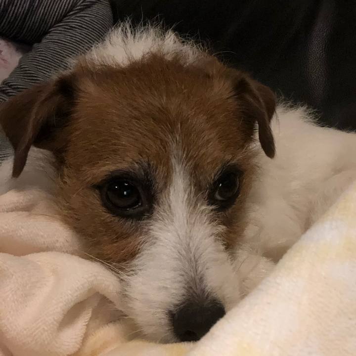 615b7b01 3395 4042 80a1 4d630a28a71e 1578315353337