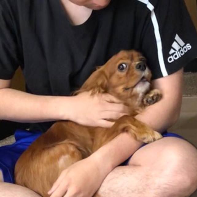 615b9f3c a9de 442e 86ff 4e8ed046cfae 1558391344053