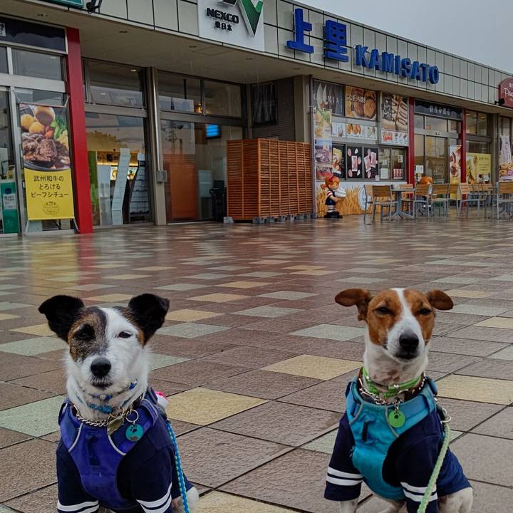 615bb378 089e 4434 b9be 41359ab4d614 1657843304385