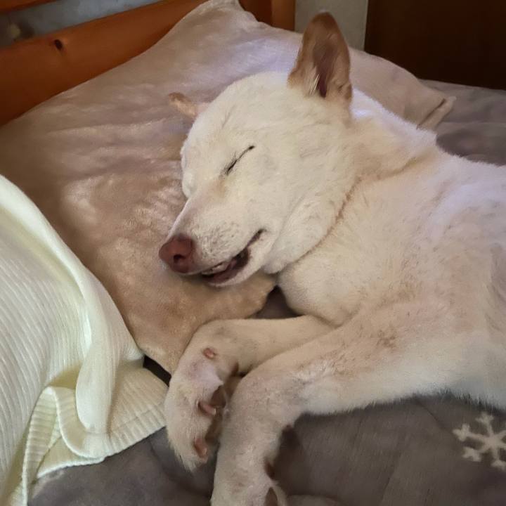 615bb909 cee1 4b0b af8c b3faf4d373c7 1640651355977