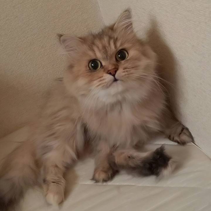 615bbfd7 7707 4637 a77b d50034bd9a1e 1632442811612