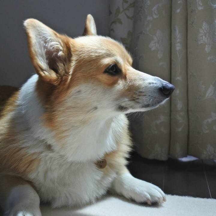 615bc110 b5b9 4bf0 8299 d060afaca576 1521630652951