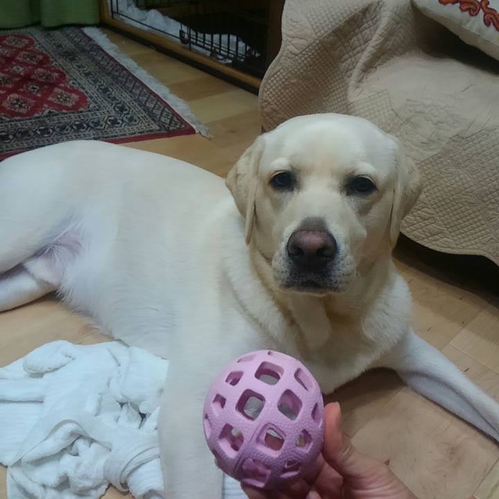 615c2ac8 d9ac 449f 837f a2d7c0c49ed3 1508242466488