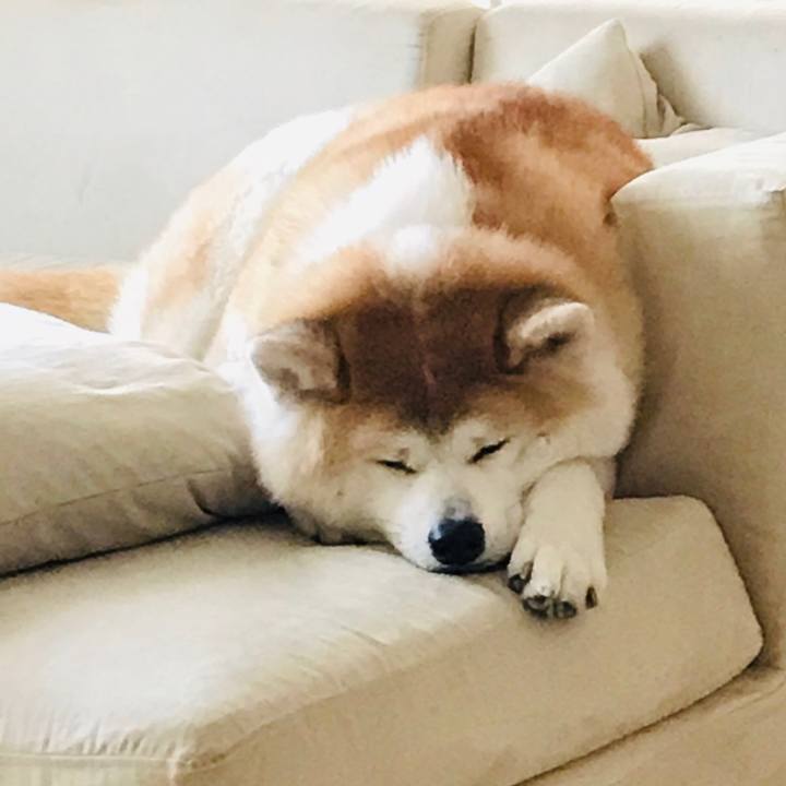 615c3bdf 1b37 4c30 9e7c c1b1d13b4d86 1554037819162