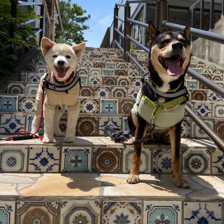 615c50f9 5bfe 48ac abfb 30c7d57c3d11 1686200255973