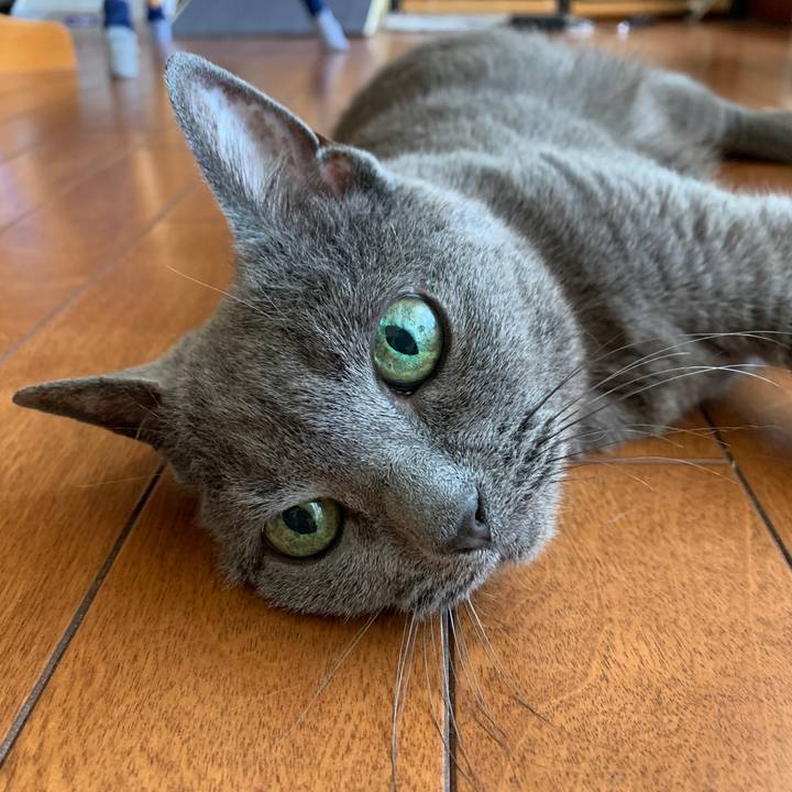 615c84ac bfd2 46dc 98d8 d00dbe1ba2e7 1597357373449