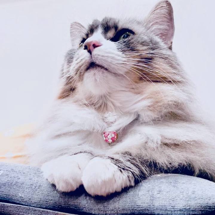 615cbb61 f82d 4d09 a2c5 03fff875d115 1752593074515