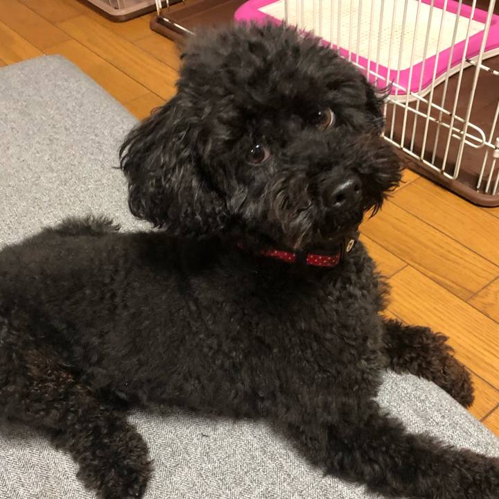 615d2720 a818 461f a98d 472d199ab9e6 1605861921835