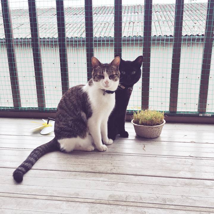 615d33ba 5d72 4490 bf9c 21788935903e 1525601374053