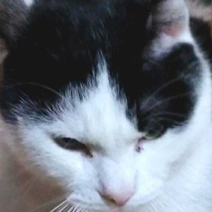 615d3603 8ea6 4753 956d 3a2123a24ca6 1550575112458