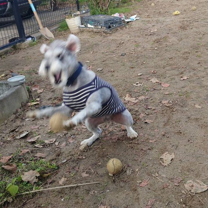 615d3662 8fd3 471f 8765 3ffe7152ec76 1761606413817