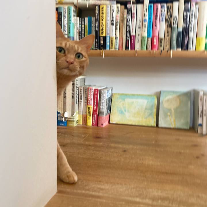 615d5b98 1dc5 436a b9d9 9b1b228b21d9 1654126801029