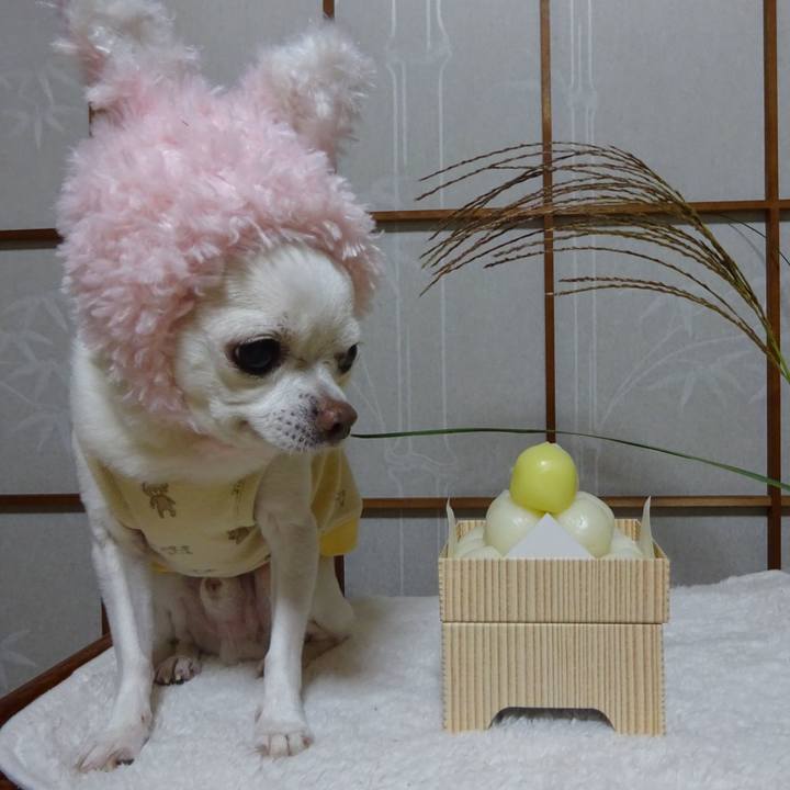 615d67e4 325c 4fe5 9764 14ae078892b9 1601481054767