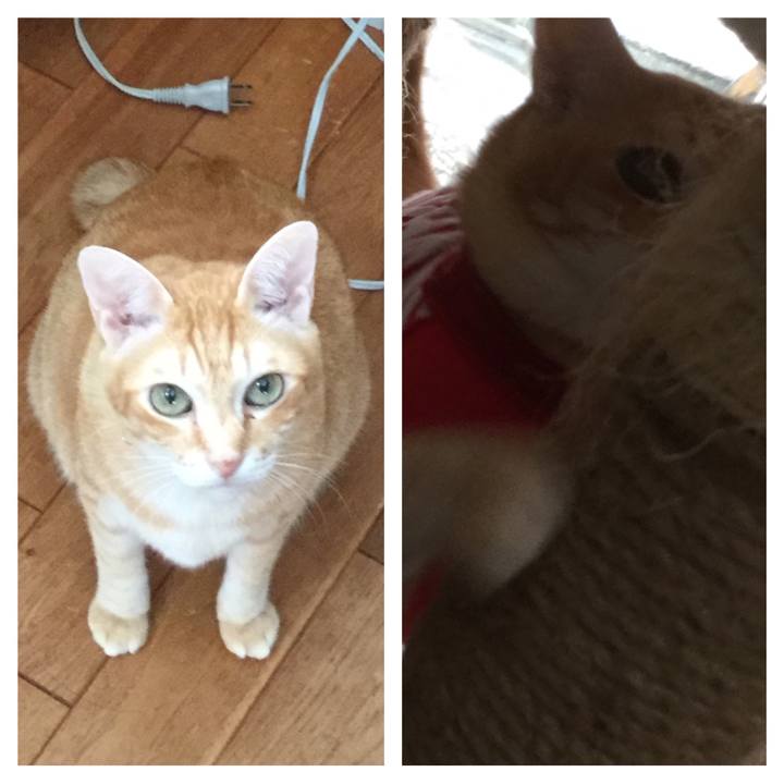 615d8114 aefc 450e b7fd fe85288b908c 1594813608972