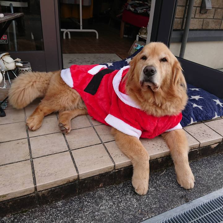 615d888c be57 4b16 bbc9 b17f48d429bb 1640355197938