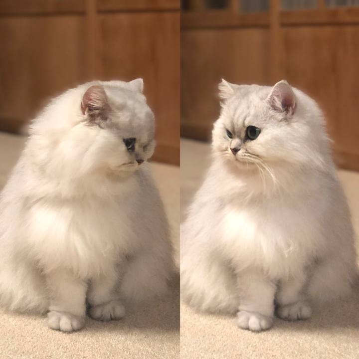 615dad95 95ca 40d6 96d8 64a13abadd1d 1608730943010