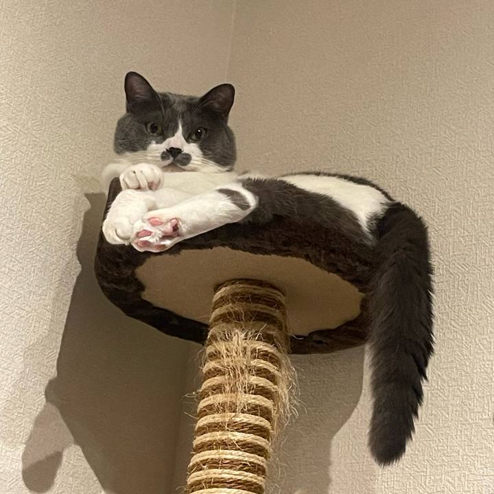 615dd8f7 2b6a 48da 9983 25080bba1945 1726496799761