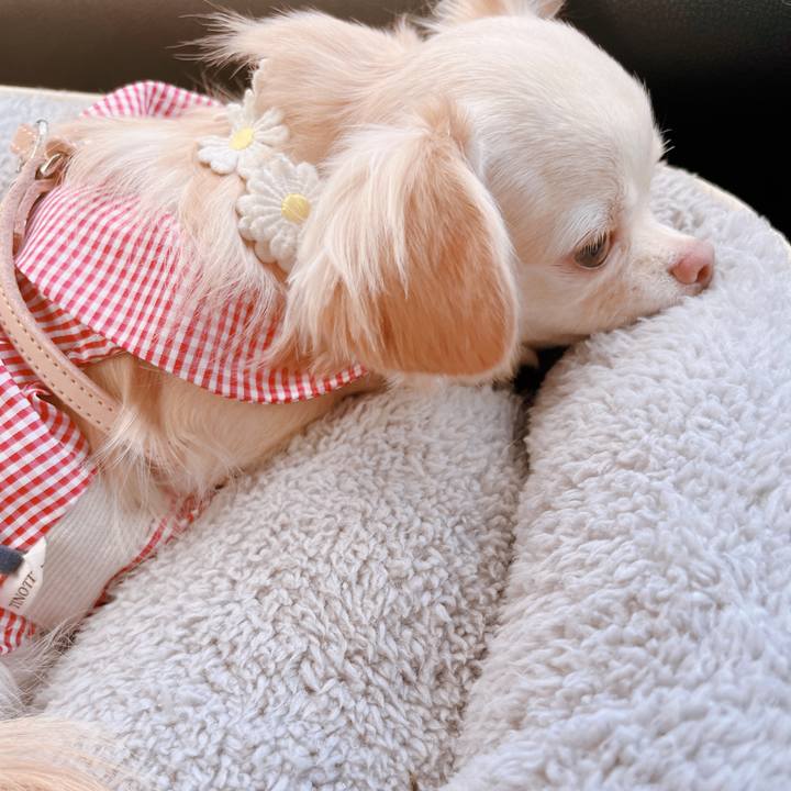 615e2dc7 e68d 41eb b0b9 8fed4bfd3b7b 1665903361076